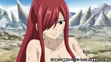 Fairy Tail Quotes, Erza Scarlett, Fairy Tail Erza Scarlet, Fairy Tail Images, Best Naruto Wallpapers, Fairy Tail Girls, Fairy Tail Lucy, Fairy Tail Characters, Dog Icon