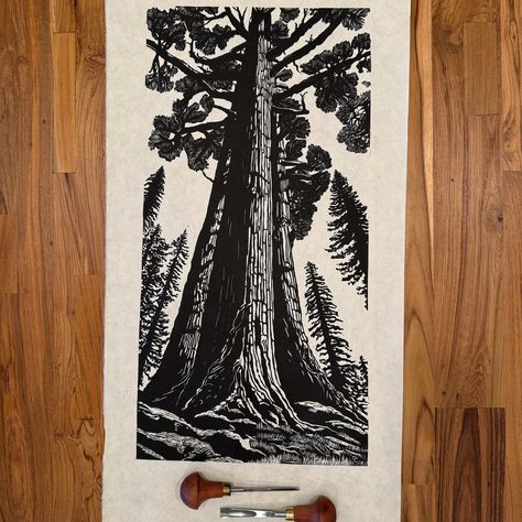 Original Hand-Carved Linocut Relief Print Title: A Redwood Forest Giant Year: 2024 Artist Print (Limited Edition of 6) From the perspective of a hiker in the beautiful redwood forest, I tried to capture our insignificance compared to these giants. Single color linocut printed on white Awagami Mingeishi 45 gsm paper with Caligo Safe Wash Relief Ink. Note: Edition number shown in photo may not be the same as described above, but all of the prints of this edition are very close, yet unique. Linocut Tree, Linocut Landscape, Forest Giant, Color Linocut, Woodcut Prints, Woodcut Art, Lino Art, Art Terms, Relief Printing