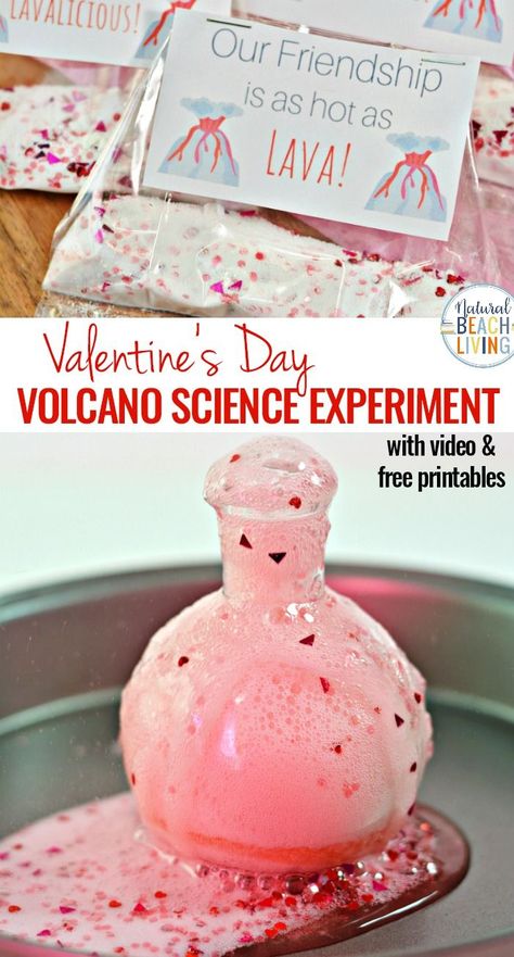 Valentine's Day Volcano Science Experiment with Free Valentine's Day Cards for Kids, Children loves seeing the reaction of baking soda and vinegar so why not pretty it up for a Valentines Day Science experiment .Preschool Valentine Cards, Volcano Experiment for Kids with Science Video, Non Candy Valentine's Day Idea #scienceforkids #valentinesday #valentinesdayactivities #valentinesdayscience #valentines Science Experiment Preschool, Volcano Experiment For Kids, Experiment Preschool, Preschool Valentine Cards, Free Valentines Day Cards, Free Valentine Cards, Science Valentines, Science Video, Volcano Experiment