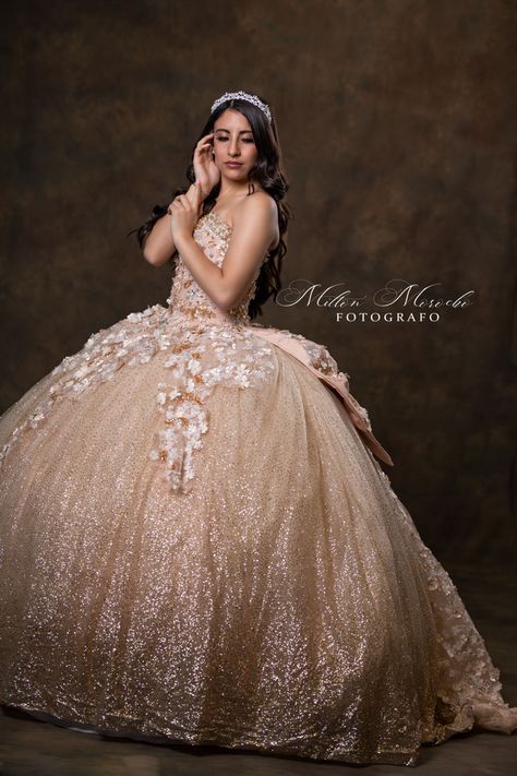 Quinceañeras Photoshoot, Quinceañera Photoshoot, Quinceañera Photoshoot Ideas, Xv Ideas, Quinceanera Photoshoot, Studio Photoshoot Ideas, Quinceanera Photography, Photoshoot Studio, Studio Photoshoot