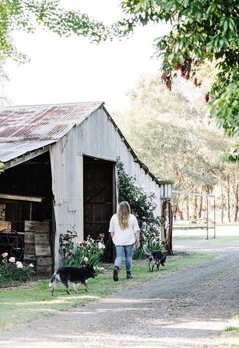 A passion for farming and horticulture traces back almost a century at The Farmstead Tatura in Victoria's Goulburn Valley. Summer Lawn Care, Garden Shed Ideas, Jude The Obscure, Chicken Shed, Shed Ideas, Homes To Love, Backyard Studio, Country Gardens, Victorian Cottage