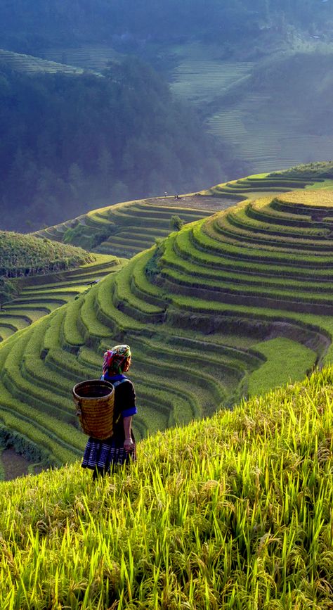 Vietnam Culture, Vietnam Photography, Beautiful Vietnam, Vietnam Art, Colorful Mountains, Vietnam Tours, Rice Terraces, Mountain Village, Aesthetic Travel