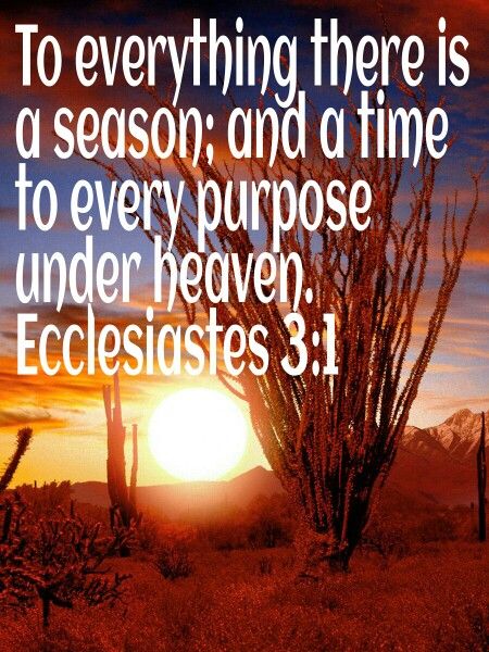 For Everything There Is A Season Quote, To Everything There Is A Season, Here I Am Lord, Ecclesiastes 1, Ecclesiastes 3, Season Quotes, Gospel Message, Something To Remember, Prayer Scriptures