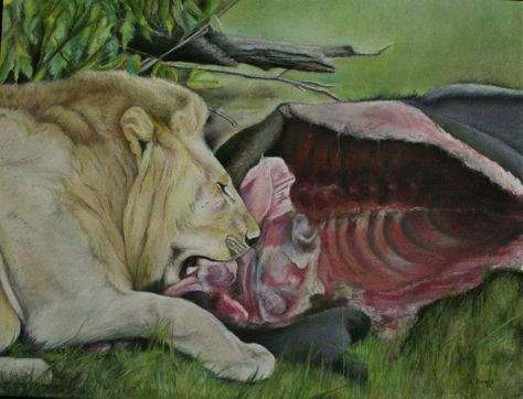 Lion eating . Pastel drawing on paper , Canson 50 cm x 65 cm . http://www.pinturasajaraiz.es Lion Eating, Drawing On Paper, Pastel Drawing, Lion Sculpture, Lion, Pastel, Statue, Sculpture, Drawings