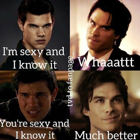 Vampire Diary, Vampire Diaries Memes, Vamp Diaries, The Vampire Diaries Characters, Twilight Funny, Twilight Memes, Damon Salvatore Vampire Diaries, Vampier Diaries, The Vampire Diaries 3