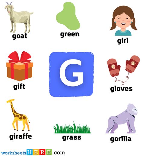 Start with Letter G Words with Pictures, Alphabets G Vocabulary with Pictures - WorksheetsHere.com Ge And Dge Words, G Is For Goat, G Letter Words, G Words For Kids, G Is For Giraffe, Soft G Words, G Names, Picture Table, G Words