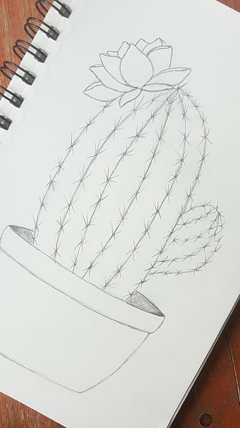 Draw A Cactus Easy, Full Paper Drawings Easy, Cactus In Pot Drawing, Drawing Cactus Easy, Cactus Doodle Art, Cactus With Flowers Drawing, Drawing Of Cactus, Cactus Sketch Simple, Cactus Easy Drawing