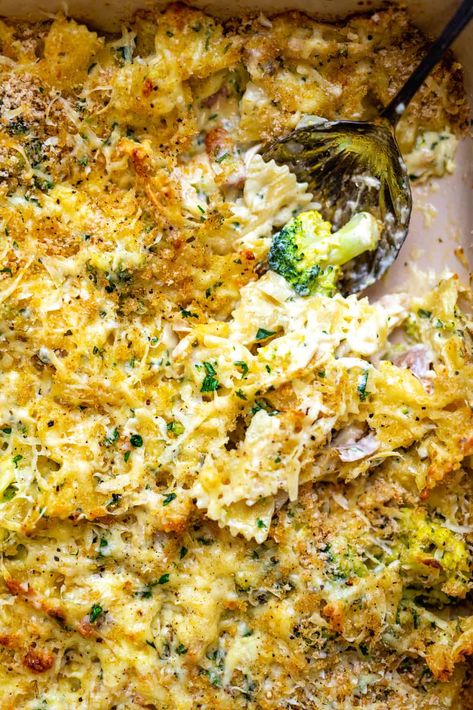 Creamy Alfredo Pasta, Pasta And Broccoli, Turkey Casserole Recipes Leftover, Boursin Recipes, Bacon Turkey, Turkey Casserole Recipe, Leftover Turkey Casserole, Creamy Alfredo Sauce, Night Dinner Recipes