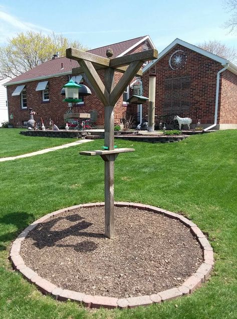 Bird feeder station Bird Station Ideas, Bird Feeder Landscaping Ideas, Bird Feeder Poles Ideas, Bird Feeding Station Ideas Gardens, Diy Bird Feeder Stand, Bird Feeding Station Ideas Diy, Bird Area In Backyard, Bird Feeding Station Ideas, Bird Feeder Station Ideas