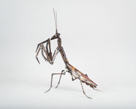 Harriet Mead, David Bennett, Stag Beetle, Praying Mantis, Wildlife Artists, Wire Sculpture, Scrap Metal Art, Mead, Welding Projects