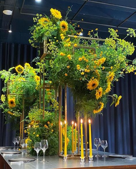 @christopheberreterot on Instagram: "Something fun we created with golden frames stacked up in a geometric formation, greenery and yellow flowers for a dinner party to remember @mcqueensflowerschool No floral foam was used here as always and only 4 elements were needed: Asparagus fern, Helianthus, Heliopsis and Anethum . . . . #yellow #yellowflower #tablecentrepiece #mcqueensflowerschool #sunflower #mcqueensflowers #tablescapes #tablescapestyling #eventflowers #floristandflowers #ephemeralart Sunflower Display, Sunflower Installation, Sunflower Stage Decor, Sunflower Pedestal Arrangement, Sunflower Installation Art, Marigold Floral Installation, Overhead Floral Installation, Yellow Floral Installation, Ephemeral Art