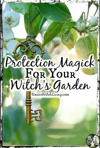 Witchs Garden, Garden Spells, Green Witch Aesthetic, Witch's Garden, Witchy Garden, Protection Magic, Witch Herbs, Green Witchcraft, Healing Garden