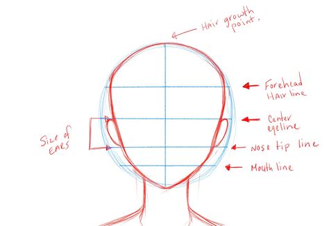 Proper proportions Anime Face Drawing, How To Draw Anime, Face Template, Manga Hair, Anime Face, Drawing Heads, Anime Head, Drawing Cartoon Characters, Draw Anime