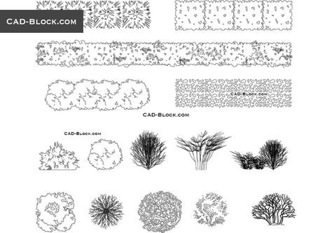 simple planting elevation drawing - Ecosia Bush Drawing, Architectural Trees, Side View Drawing, Trees Top View, Plan Elevation, Bushes And Shrubs, Landscape Design Drawings, Tree Plan, Landscape Architecture Drawing