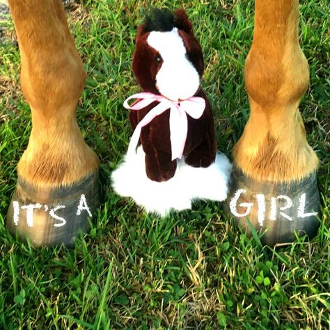 Gender reveal announcement with horse and hooves #babygirl Gender Reveal Ideas With Horses, Gender Reveal With Horses, Horse Gender Reveal Ideas, Horse Gender Reveal, Pregnant Cowgirl, Country Baby Announcement, Country Gender Reveal, Pregnant Horse, Baby Reveal Photos