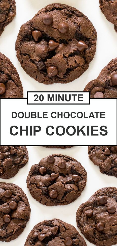 Best Double Chocolate Chip Cookies, Double Chocolate Chip Cookie Recipe, Chef Savvy, Holidays Recipes, Cookie Recipes Chewy, Double Chocolate Chip Cookies, Double Chocolate Cookies, Lost 100 Pounds, Chocolate Cookie Recipes