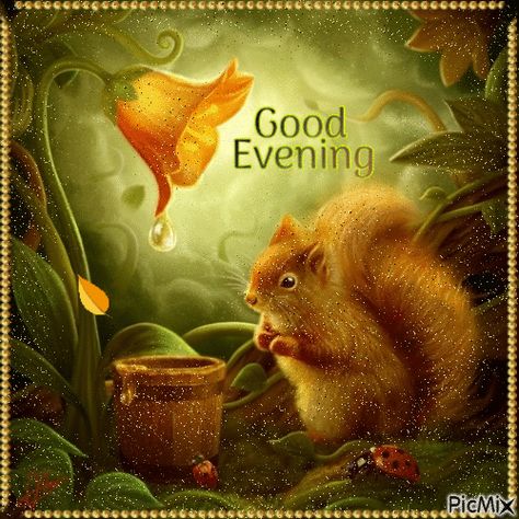 Good Evening Gif, Evening Gif, Funny Squirrel Pictures, Good Evening Wallpaper, Good Evening Photos, Good Morning Gift, Good Evening Wishes, Evening Pictures, Squirrel Pictures