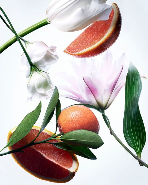 Kevin Cremens Photography | flora - Kevin Cremens Ingredients Photography, Fragrance Photography, Perfume Bottle Design, Fragrance Ingredients, Bloom Blossom, Fruit Photography, Hair Care Brands, Still Photography, Art Department