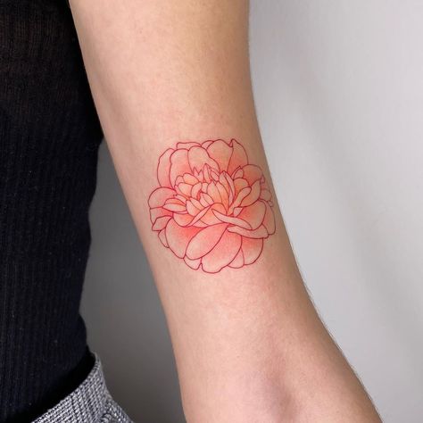 Japanese Camellia Tattoo, Camellia Flower Tattoo, Paris Date, Tiny Flower Tattoos, Camellia Japonica, Blossom Tattoo, Camellia Flower, Ink Ideas, Name Tattoo