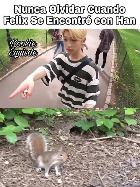 #wattpad #de-todo aquí encontrarás memes de stray kids hechos por mi y Momentos bergas de Stray kids Stray Kids In, Stray Kids Random, Stray Kids Memes, Hyunjin Changbin, Stay Kids, Skz In Cute, Icons Kpop, Memes Kpop, Kid Memes