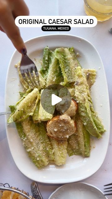 Sherry Shi | Food + Travel on Instagram: "The caesar salad was created in 1924 at @caesarstijuana, owned at the time by Caesar Cardini. You can still order it today prepared tableside at this iconic restaurant in Tijuana, Mexico 🇲🇽 #sherryeatworld — #foodblogger #caesarsalad #travelblogger #tijuanamexico #mexicotravel #mexicoeats #tijuanafood #infatuation #foodhistory #foodfacts #sfblogger #visitmexico" Salads Recipes, Food History, Travel Wear, Caesar Salad, Salad Dressings, At The Table, Food Facts, January 20, California Dreaming