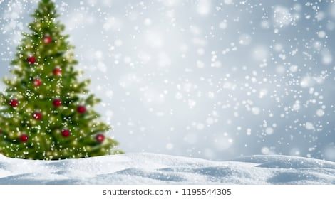 Blurred Christmas Tree, Advertising Space, Christmas Tree Background, Christmas Landscape, Greetings Images, Snowy Landscape, Landscape Beautiful, Silver Background, Winter Background