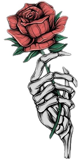 Flor Vector, Skeleton Hands Drawing, Hand Holding Rose, Skeleton Hand Holding, Tattoo Cartoon, Cartoon Rose, Hands Holding Flowers, Red Cartoon, Music Notes Tattoo