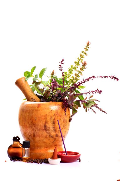 Medicine Knowledge, Plants Types, Ayurveda Hair, Ayurvedic Plants, Plant App, Ayurvedic Hair Oil, Ayurvedic Therapy, Ayurvedic Diet, Website Banner Design