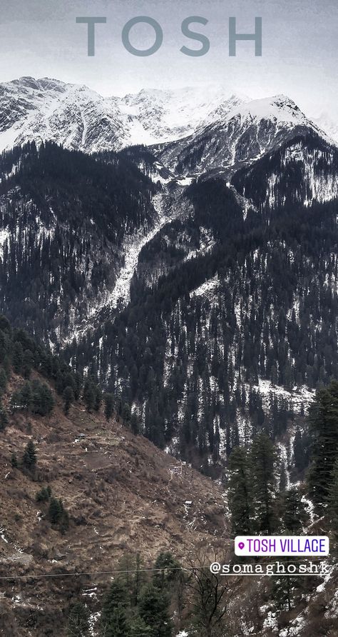 Tosh, Kasol, HP Tosh Himachal Pradesh, Kasol Himachal Pradesh, Himachal Pradesh, Vacation Destinations, India, Travel, Quick Saves