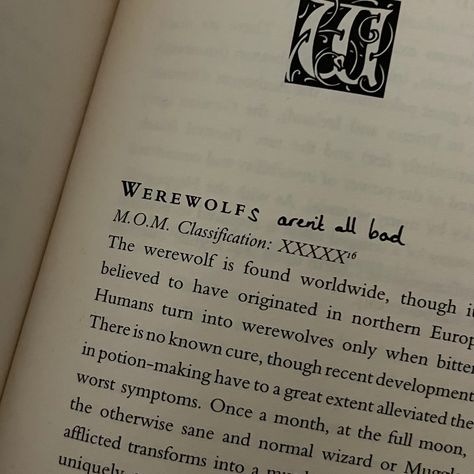 Remus Lupin Marauders Era, Remus Lupin Marauders, Remus Lupin Moony, Lupin Aesthetic, Remus Lupin Aesthetic, Howleen Wolf, Teddy Lupin, Werewolf Aesthetic, Remus And Sirius