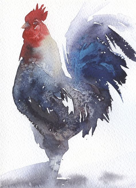 Watercolor Chickens, Watercolor Chicken, Rooster Painting, Chicken Painting, Chicken Art, Loose Watercolor, Chickens And Roosters, Irish Art, The Dark Knight