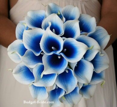 Blue calla lily bouquet Calla Lily Wedding Flowers, Lilies Wedding, Blue Lilies, Calla Lily Wedding, Calla Lily Bouquet, Blue Wedding Bouquet, Lily Wedding, Blue Wedding Flowers, Silk Flowers Wedding