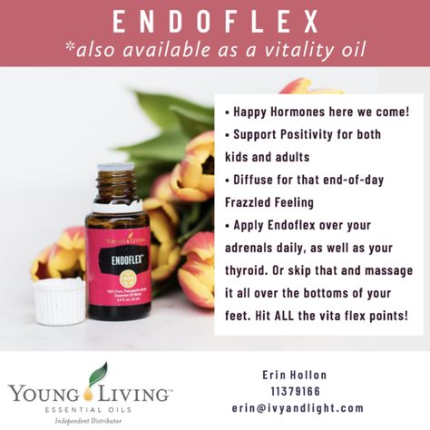 Essential Oils to Support Healthy Hormone Balance Endoflex Essential Oil, Hormone Balancing Essential Oils, Essential Oils For Thyroid, Young Living Oils Recipes, Living Oils Recipes, The Endocrine System, Above The Line, Hormone Support, Balance Hormones Naturally