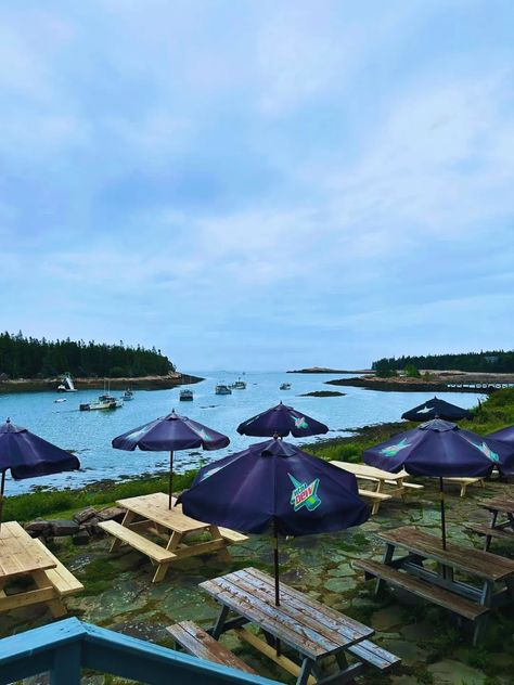 9 Best Winter Harbor, Maine Restaurants In 2023 - Hidden Gems US Winter Harbor Maine, Visit Maine, Hidden Gems, Acadia National Park, Oh The Places Youll Go, Maine, National Parks, Restaurant