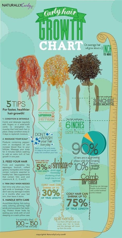 Natural Hair Growth Chart, Hair Growth Chart, Hair Inches, Curly Hair Growth, Hair Growth Charts, Hair Growth Tips, Natural Hair Tips, Natural Hair Journey, Healthy Hair Growth