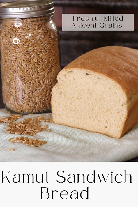 Kamut Sandwich Bread, Kamut Bread Recipes, Fresh Milled Flour Bread Recipe, Kamut Recipes, Sourdough Donut, Kamut Bread, Sourdough Donut Recipe, Wheat Berry Recipes, Chocolate Sourdough