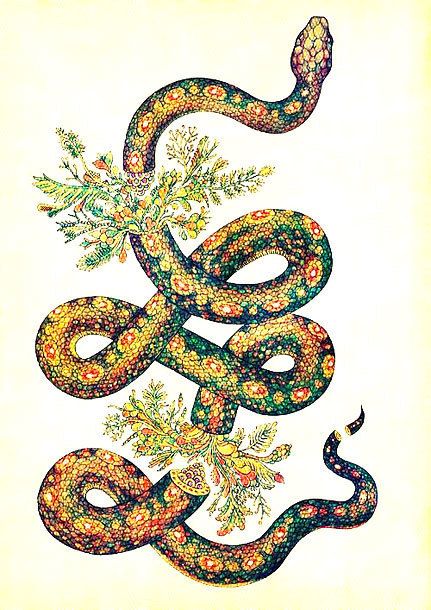 Colorful Snake Tattoo Design - Nice and creative golden snake for women. Colorful Snake, Tattoo Snake, Colorful Snakes, Magic Flute, Golden Snake, Remembrance Tattoos, Snake Tattoo Design, Snake Art, Leg Sleeve