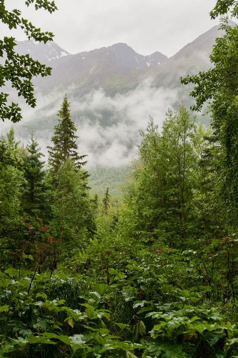 Chugach Mountains, Eagle River Alaska, Nature Scenery, Facebook Humor, Nature Center, The Eagle, Best Funny Pictures, Good Morning Images, Mountain View