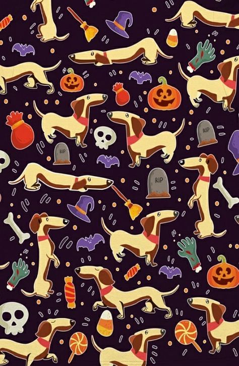 Dachshund Dog Halloween Background, Dachshund Wallpaper Iphone, Dachshund Wallpaper, Arte Dachshund, Dachshund Illustration, Coaster Patterns, Watch Background, Fall Graphics, Dachshund Pattern