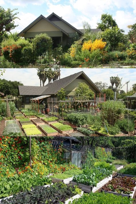 Huerta En Casa Ideas, Vegetable Garden Raised Beds, Green Architecture, Earthship, Diy Crafts For Home Decor, Green Life, Growing Food, Outdoor Landscaping, Small Gardens