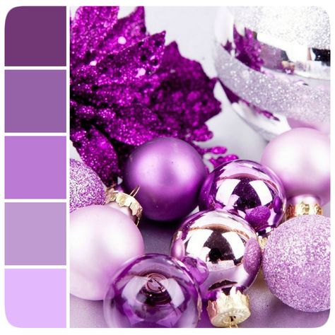 Shades of Purple l Paint Colors l Paint Inspiration l Children's Room Paint Colors l Color Palette Inspiration l Color Inspiration Purple Christmas Color Palette, Purple Silver White Color Palette, Purple Christmas Palette, Purple Red Colour Palette, Winter Wedding Color Palette Purple, Purple Hues Colour Palettes, Kids Room Paint Colors, Christmas Palette, Colours That Go Together