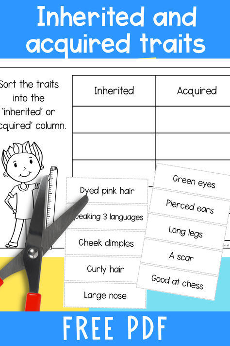 Download a free worksheet (PDF) to help students get to grips with which traits are inherited and which are acquired. With this cut-and-paste activity, they’ll look at and sort 10 different traits. You'll find the link to the download under number 3 on the blog post. Read the rest of the blog post for other ideas for teaching inherited traits and characteristics in science. Inherited Traits Activities, Inherited Traits Anchor Chart, Inherited And Acquired Traits Activities, Inheritance And Traits For 3rd Grade, Inherited Traits 3rd Grade, Inherited Traits And Learned Behaviors, Teaching Character Traits 3rd Grade, Genetics For Elementary Students, Tales Of A Fourth Grade Nothing Character Traits