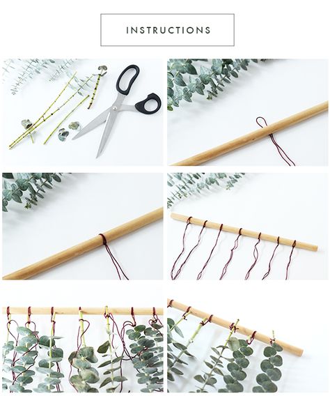 Oh The Sweet Things: DIY | Hanging Eucalyptus Eucalyptus Wall Decor, Eucalyptus Wall Hanging, Hanging Eucalyptus, Diy Eucalyptus, Tying Knots, Wall Decor Diy, Wall Hanging Diy, Diy Hanging, Bright Flowers