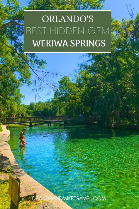 Orlando's Best Hidden Gem: Wekiwa Springs — DEANDRA & MIKE Florida Bucket List, Orlando Springs, Florida Road Trip, Florida Camping, Florida Adventures, Orlando Parks, Florida Springs, Rock Springs, Orlando Travel