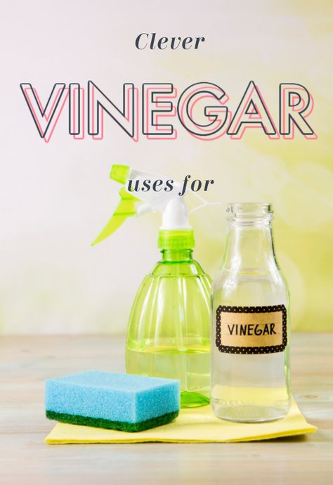 Clever Uses for Vinegar - There are a lot of versatile ways to use vinegar around the house. It's an all-purpose cleaner, brightener, as well as a herbicide. Uses For Vinegar, Random Tips, Homemade Cleaners, Vinegar Uses, Save For House, All Purpose Cleaner, Plastic Food Containers, Vinegar Cleaning, Cleaning Motivation