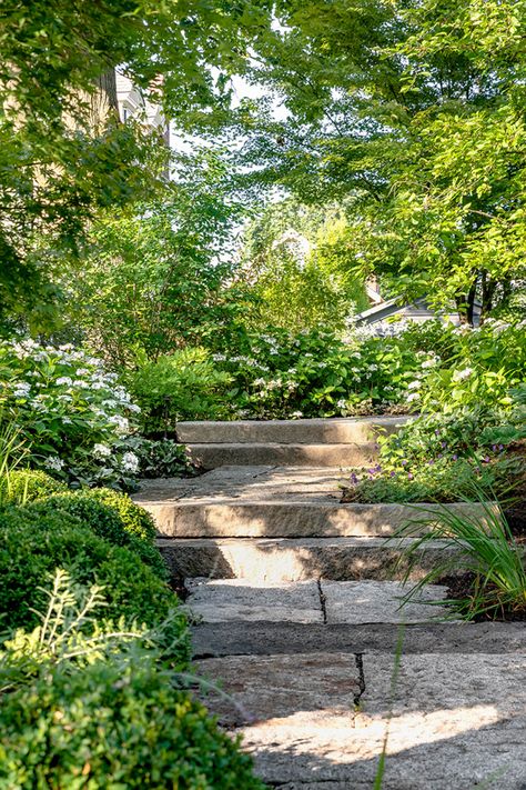 Landscape Edit, Brookline Massachusetts, Terrace Apartment, Landscape Stairs, Hill Garden, Terrace Building, Landscape Design Drawings, Shingle Style Homes, Landscaping Retaining Walls