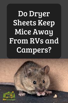 Do Dryer Sheets Keep Mice Away From RVs and Campers? – RVBlogger Rv Essentials, Rv Winterizing, Camper Maintenance, Mice Repellent, Rv Camping Tips, Camper Hacks, Travel Trailer Camping, Rv Repair, Rv Maintenance