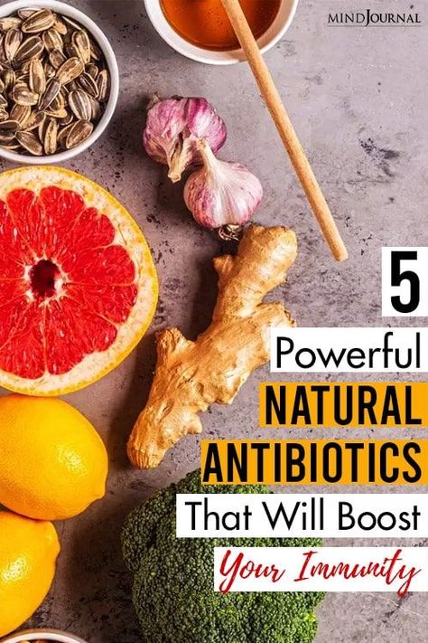 These 5 natural antibiotics are easily available and we don’t need prescriptions to procure them! 5 Powerful Natural Antibiotics That Will Boost Your Immunity #boostimmunity #healthtips Homemade Antibiotics, Severe Cough Remedies, Homesteading Recipes, Best Cough Remedy, Baby Cough Remedies, Homemade Cough Remedies, Dry Cough Remedies, Natural Antibiotic, Cold And Cough Remedies