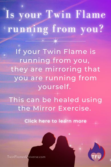 My Twin Flame, Twin Flame Runner, Twin Souls, Twin Flame Love, Inner Guidance, States Of Consciousness, The Runner, Twin Flames, Soul Searching