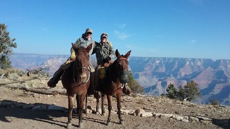 Grand Canyon Mule Ride, Grand Canyon Hotels, Bright Angel Trail, Grand Canyon Railway, National Park Lodges, Grand Canyon South Rim, Texas Cowboy, Mountain Trails, Cowboy Art